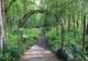 Alaska Botanical Garden