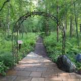 Image related to Alaska Botanical Garden