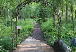 IgluCruise.Application.ViewModels.Shared.WebImageViewModel?.Description