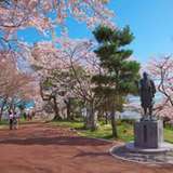 Image related to Hiyoriyama Park