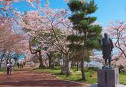 IgluCruise.Application.ViewModels.Shared.WebImageViewModel?.Description