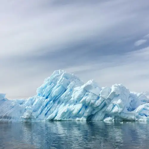 Image related to Paradise Harbour