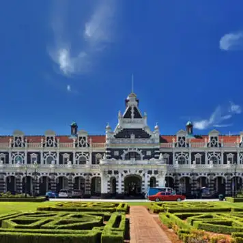 Image related to Dunedin Nature & City Tour