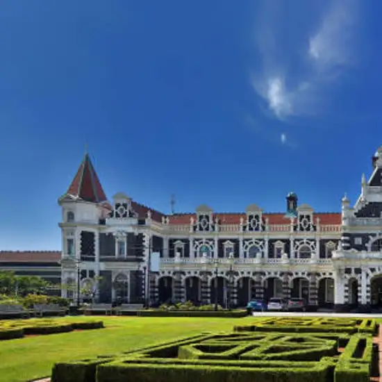 Image related to Dunedin Nature & City Tour