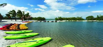 Image related to Kayaking 