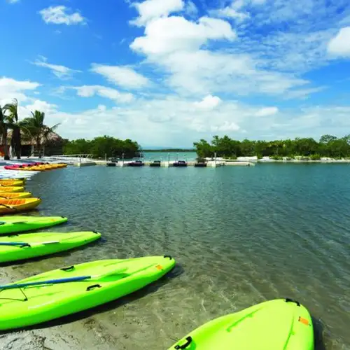 Image related to Kayaking 