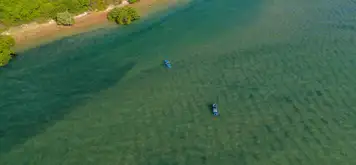 Image related to WWII History