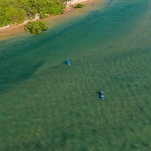 Image related to WWII History