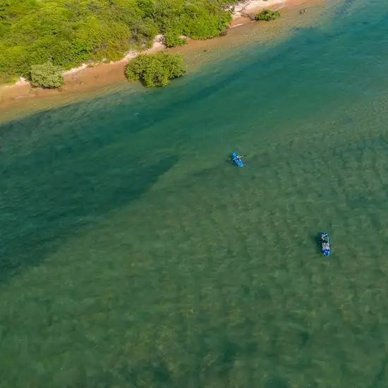 Image related to WWII History