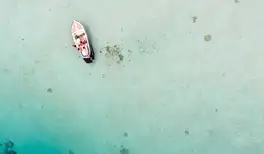 Image related to Marine Safari