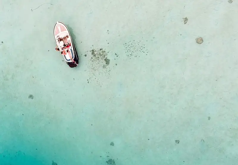 Marine Safari