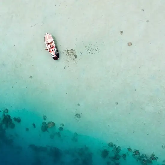 Marine Safari