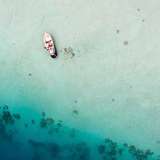 Image related to Marine Safari