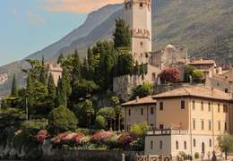 IgluCruise.Application.ViewModels.Shared.WebImageViewModel?.Description