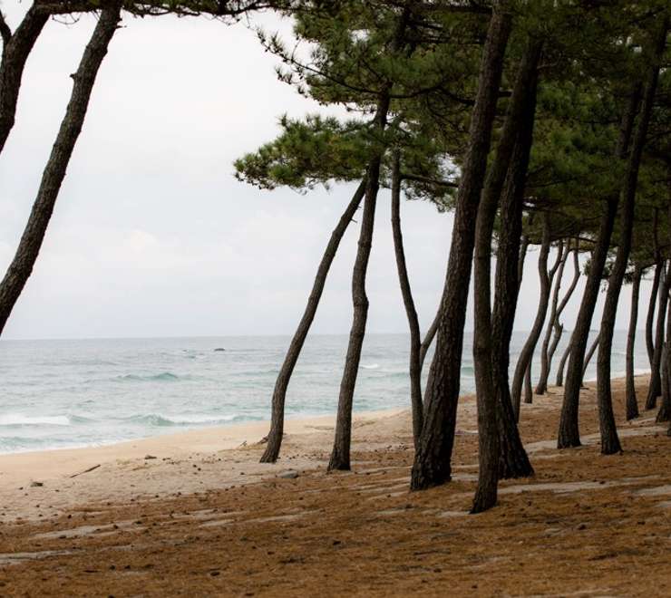 Matsubara Beach
