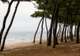 Matsubara Beach
