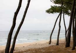 IgluCruise.Application.ViewModels.Shared.WebImageViewModel?.Description