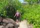 Hike the Mangrove Boardwalk