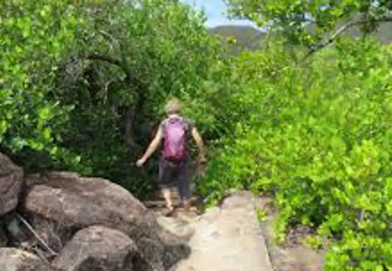 Hike the Mangrove Boardwalk