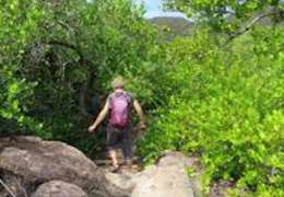 IgluCruise.Application.ViewModels.Shared.WebImageViewModel?.Description