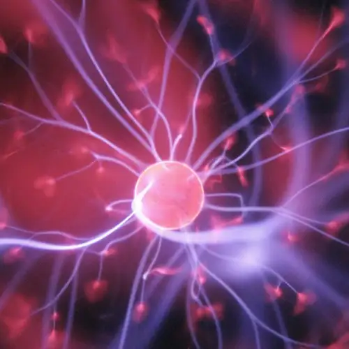 Image related to Image related to Science Centre