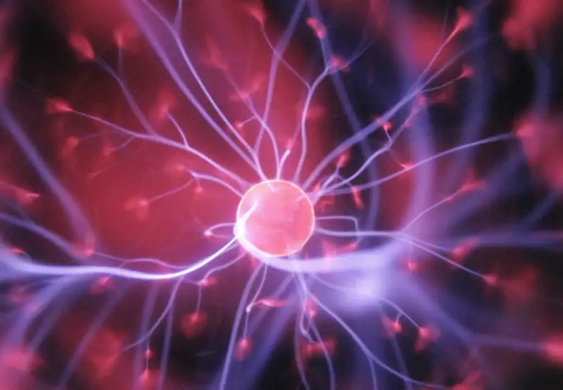 Image related to Science Centre