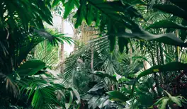 Image related to Akureyri Botanical Gardens