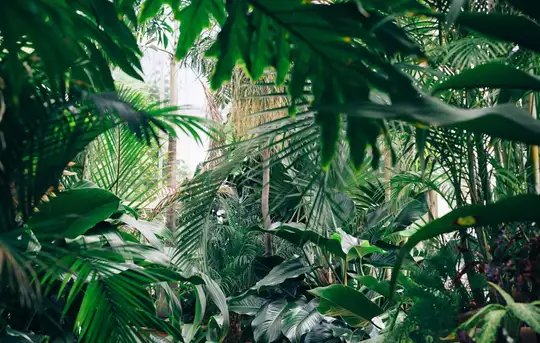 Image related to Akureyri Botanical Gardens