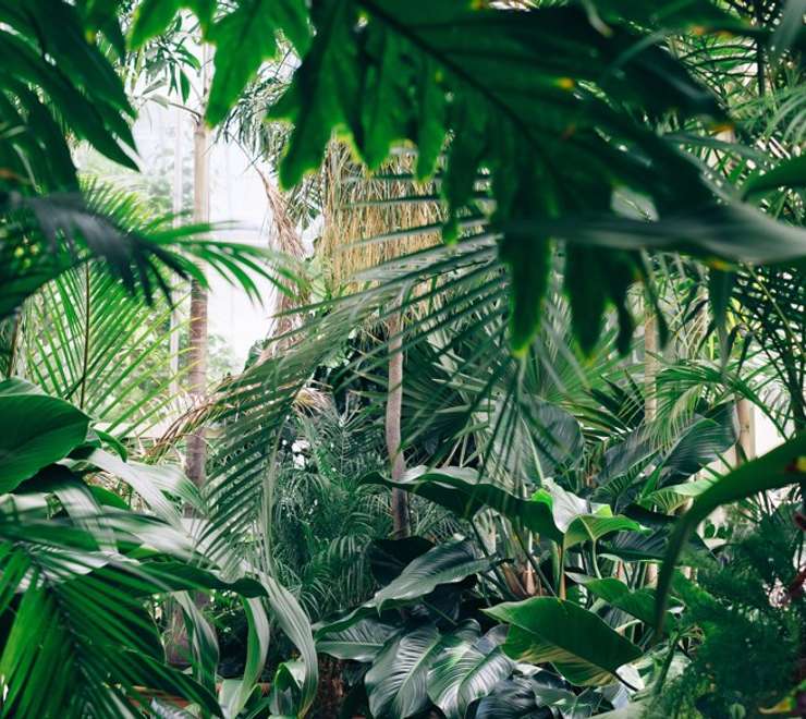 Akureyri Botanical Gardens