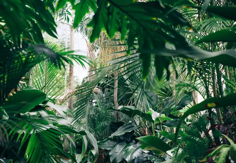 Akureyri Botanical Gardens