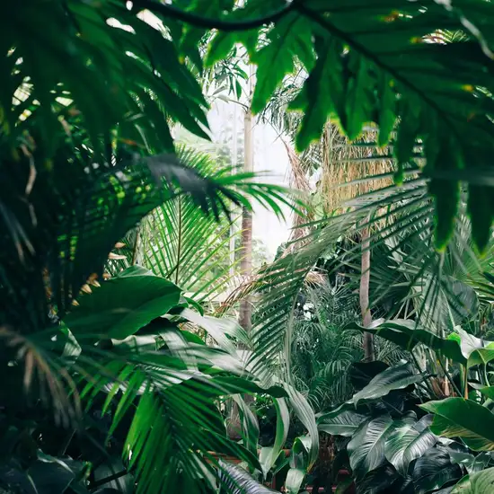 Image related to Akureyri Botanical Gardens