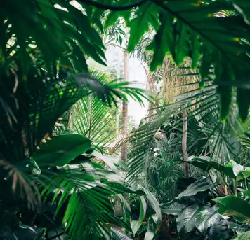 Akureyri Botanical Gardens