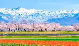 Image related to Toyama