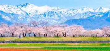 Image related to Toyama