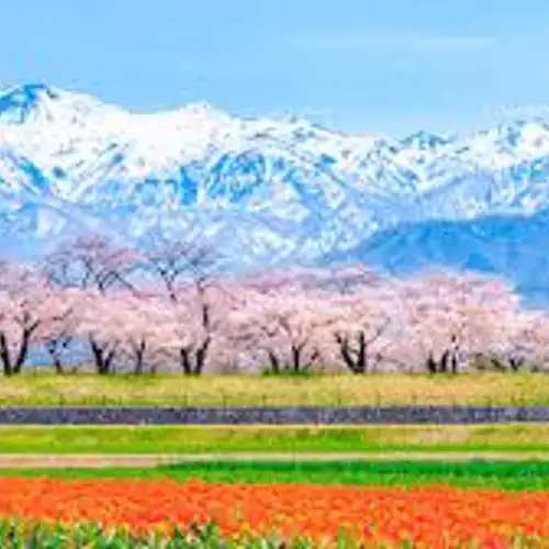 Image related to Toyama