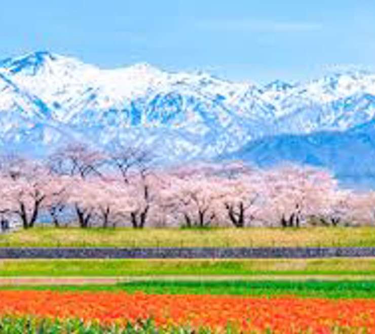 Toyama