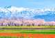 Toyama