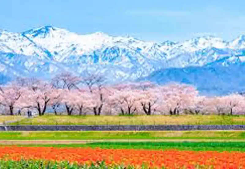 Toyama