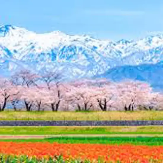 Toyama