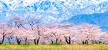 Image related to Toyama