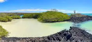 Image related to Puerto Ayora, Santa Cruz