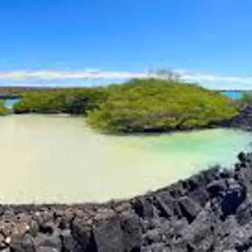 Image related to Puerto Ayora, Santa Cruz