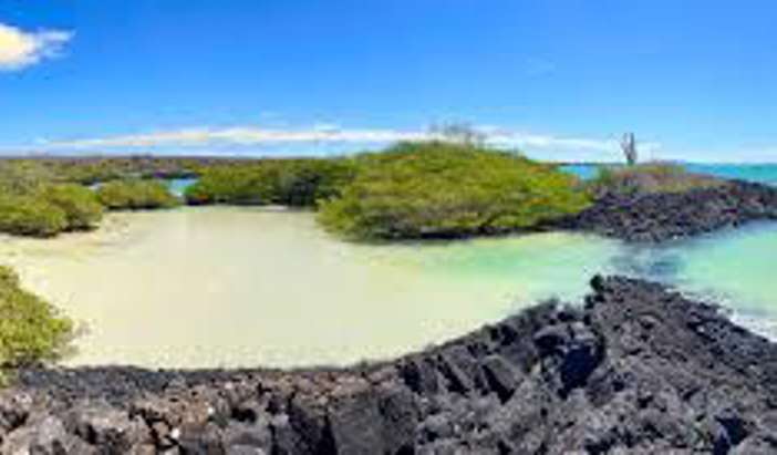 Puerto Ayora, Santa Cruz