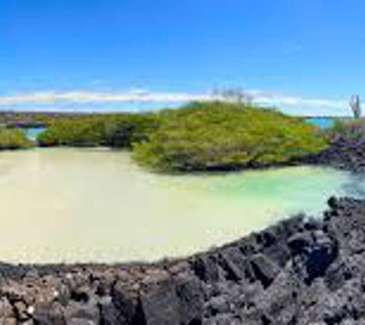 Puerto Ayora, Santa Cruz