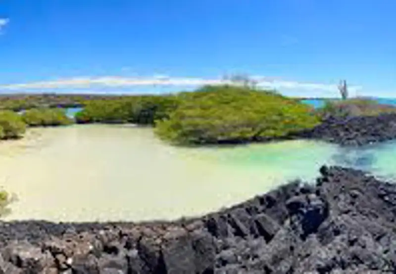Puerto Ayora, Santa Cruz