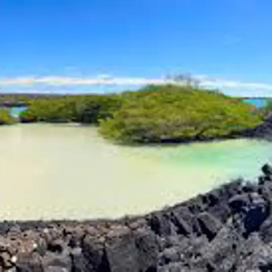 Image related to Puerto Ayora, Santa Cruz