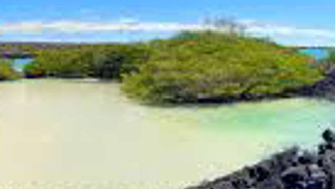 Puerto Ayora, Santa Cruz