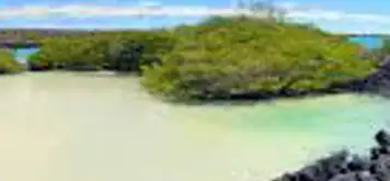 Image related to Puerto Ayora, Santa Cruz