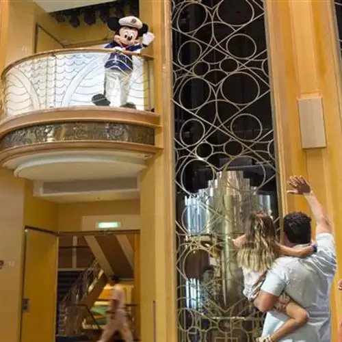 DISNEY WONDER