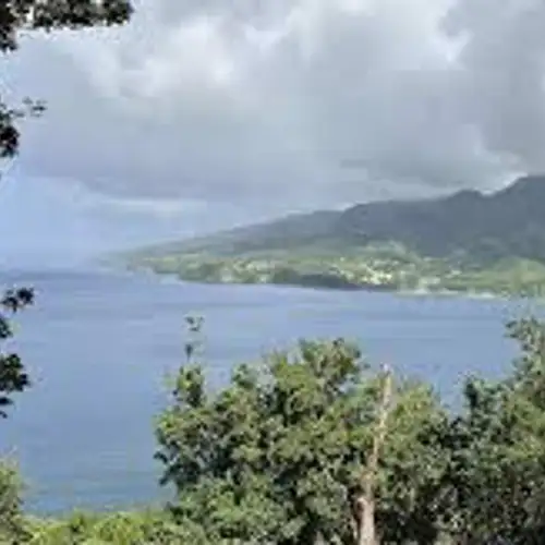 Image related to Cabrits National Park Trails